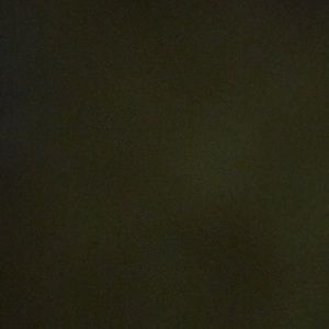 Meet your Posher, Nikia